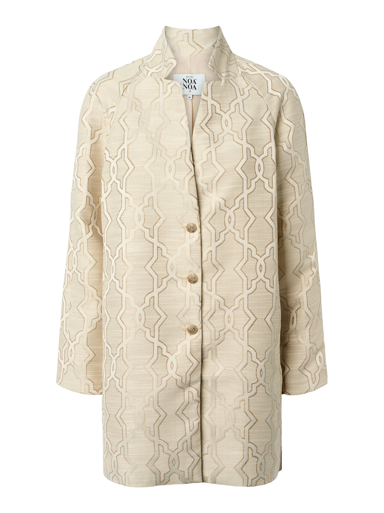 DiNN Coat - Image 5